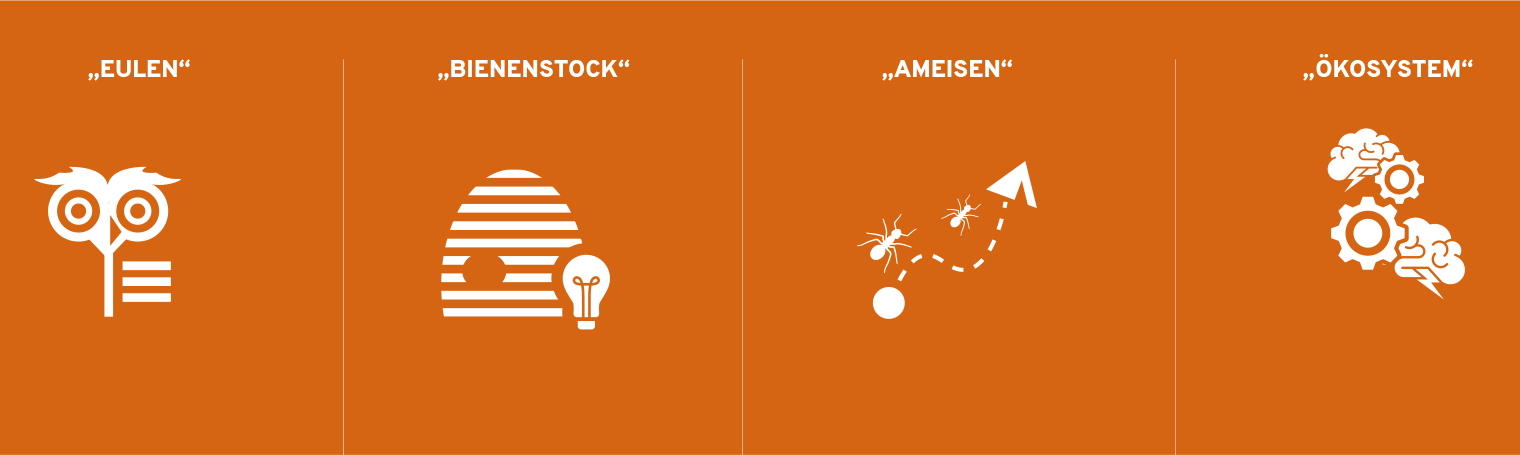 Solve22: Icon Entwicklung